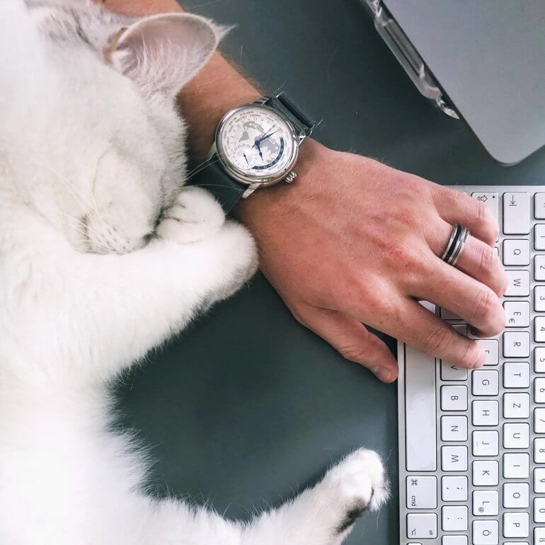 Kater Diego auf der Tastatur