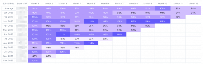 12 Monate Revenue Retention Rate